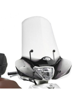 Screen GIVI Triumph Tiger 900 Rally (20-22)