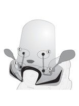 Fitting kit GIVI for 1125A screen Honda SH Mode 125 [13-20]