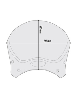 Universal screen GIVI 100ALB [black]